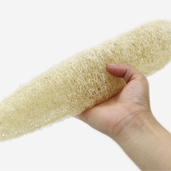 100% Natural Whole Loofah Large, 4-Pack, Organic Sponges, Gentle Exfoliating Body Scrubber, Dish and Shower Luffa, Bath SPA Loofa, 12-14 Inches Long, 30-35cm, Radiant Beauty Skin, Big Sized Whole.