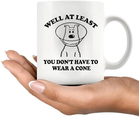Well At Least You Don’t Have To Wear A Cone Get Well Soon Gifts For Women After Surgery Men Recovery Gifts From Friends Feel Better Get Well Ceramic Mug (White)