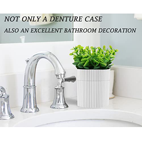 Denture Bath, Invisible Denture Case Designed As Artificial Eucalyptus Potted Plants, Denture Cup With Strainer For Retainer, Mouth Guard & Dentures, Perfect For Home DecorationâŠ