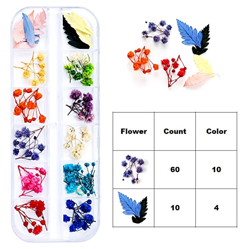 Dried Flowers for Resin Craft Nail Art Mix Small Mini Dry Flowers (Pack of 6 Boxes, About 260 PCS)