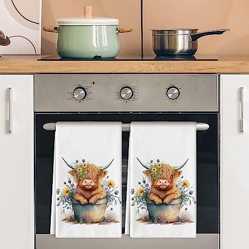 Highland Cow Kitchen Dish Towel 18 x 28 Inch Rustic Farmhouse Dishcloth Seasonal Cute Cow Decorative Hand Tea Towel for Kitchen Home Cooking Baking Cleaning, 2Pcs