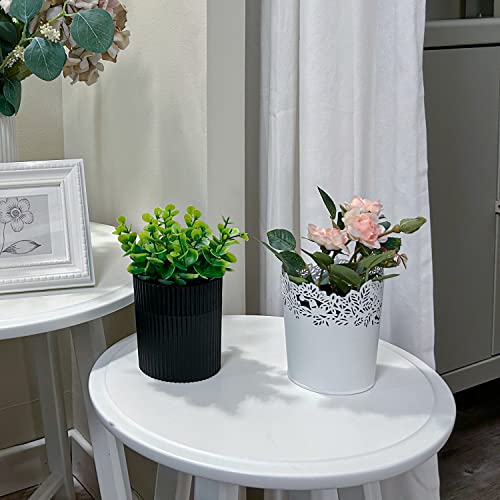 Denture Bath, Invisible Denture Case Designed As Artificial Eucalyptus Potted Plants, Denture Cup With Strainer For Retainer, Mouth Guard & Dentures, Perfect For Home DecorationâŠ