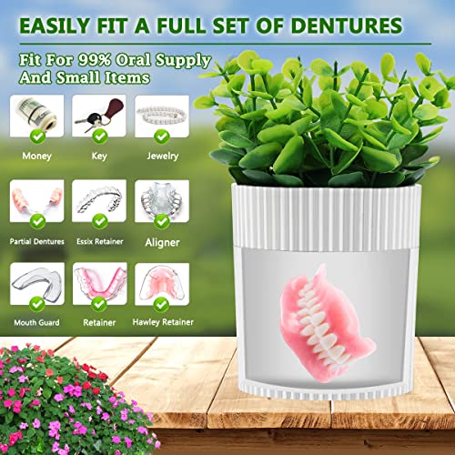 Denture Bath, Invisible Denture Case Designed As Artificial Eucalyptus Potted Plants, Denture Cup With Strainer For Retainer, Mouth Guard & Dentures, Perfect For Home DecorationâŠ