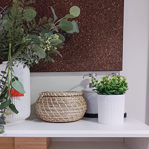 Denture Bath, Invisible Denture Case Designed As Artificial Eucalyptus Potted Plants, Denture Cup With Strainer For Retainer, Mouth Guard & Dentures, Perfect For Home DecorationâŠ