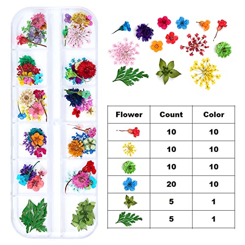 Dried Flowers for Resin Craft Nail Art Mix Small Mini Dry Flowers (Pack of 6 Boxes, About 260 PCS)