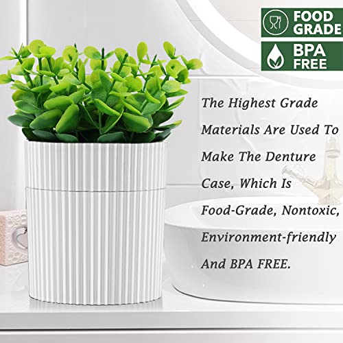Denture Bath, Invisible Denture Case Designed As Artificial Eucalyptus Potted Plants, Denture Cup With Strainer For Retainer, Mouth Guard & Dentures, Perfect For Home DecorationâŠ