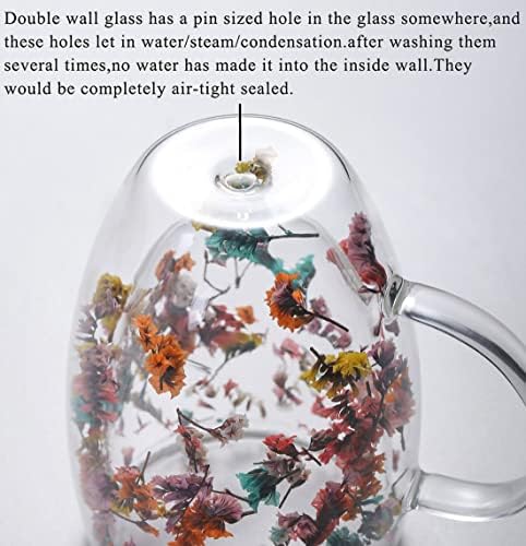 Double Wall Glass Coffee Mugs Clear Cups for Cappuccino Tea Espresso Latte Hot Beverages Glasses Birthday Gifts for Women Her