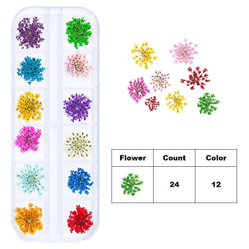 Dried Flowers for Resin Craft Nail Art Mix Small Mini Dry Flowers (Pack of 6 Boxes, About 260 PCS)