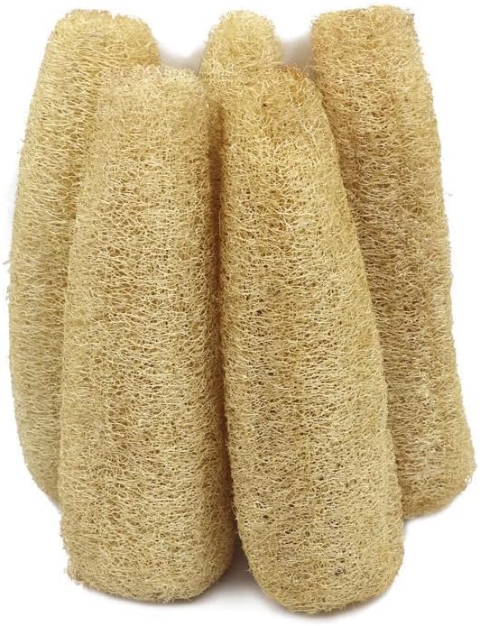 100% Natural Whole Loofah Large, 4-Pack, Organic Sponges, Gentle Exfoliating Body Scrubber, Dish and Shower Luffa, Bath SPA Loofa, 12-14 Inches Long, 30-35cm, Radiant Beauty Skin, Big Sized Whole.