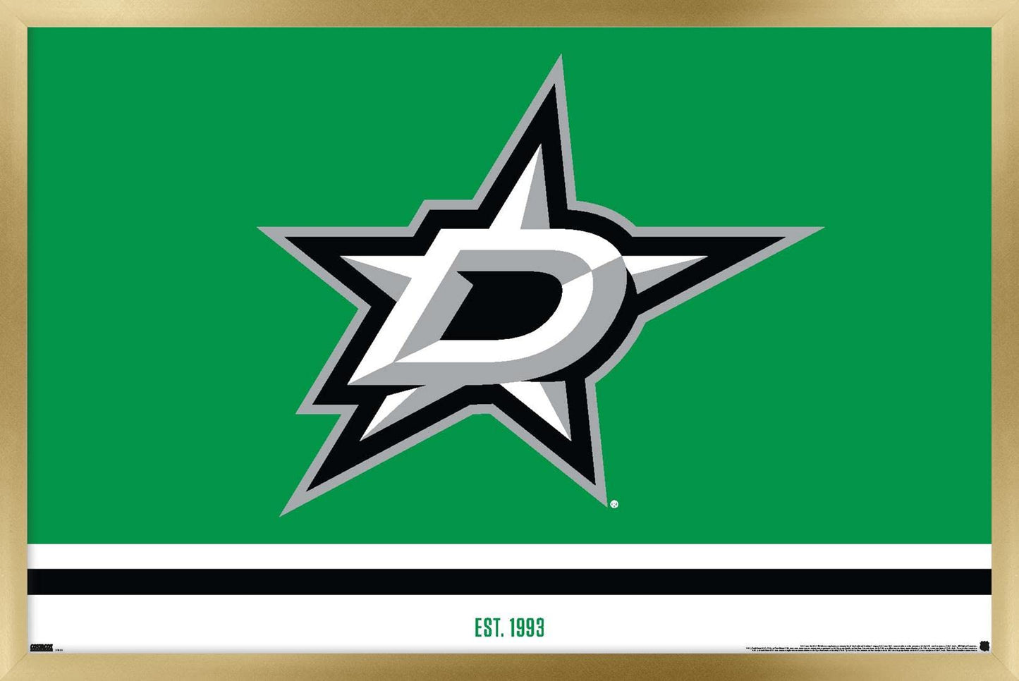 Trends International NHL Dallas Stars - Logo 21 Wall Poster, 14.725" x 22.375", Gold Framed Version