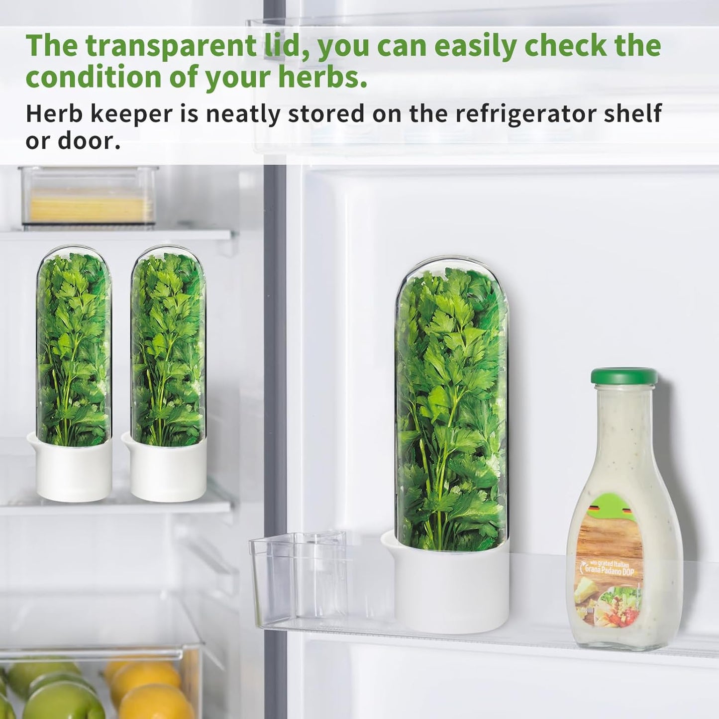 Herb Keeper for Refrigerator, Herb Saver for Refrigerator, Cilantro Container, Vegetable Preservation Bottle for Cilantro, Mint, Parsley, Asparagus, Keeps Greens Fresh for 2-3 Weeks (3PCS)
