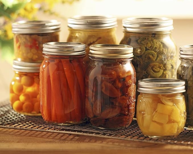 DalzomĀ® 24Pcs Canning Lids with 24Pcs Rings Wide Mouth, Premium Mason Jar Lids with Bands/Rings for Ball, Kerr Jars - Food Grade Material, 100% Fit & Airtight for Wide Mouth Mason Jars