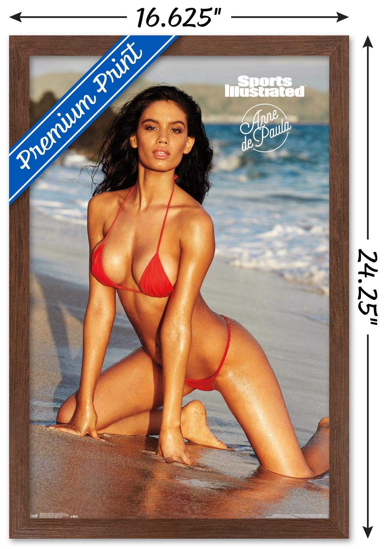 Trends International Sports Illustrated: Swimsuit Edition-Anne De Paula 18 Wall Poster, 14.725" x 22.375", Mahogany Framed Version