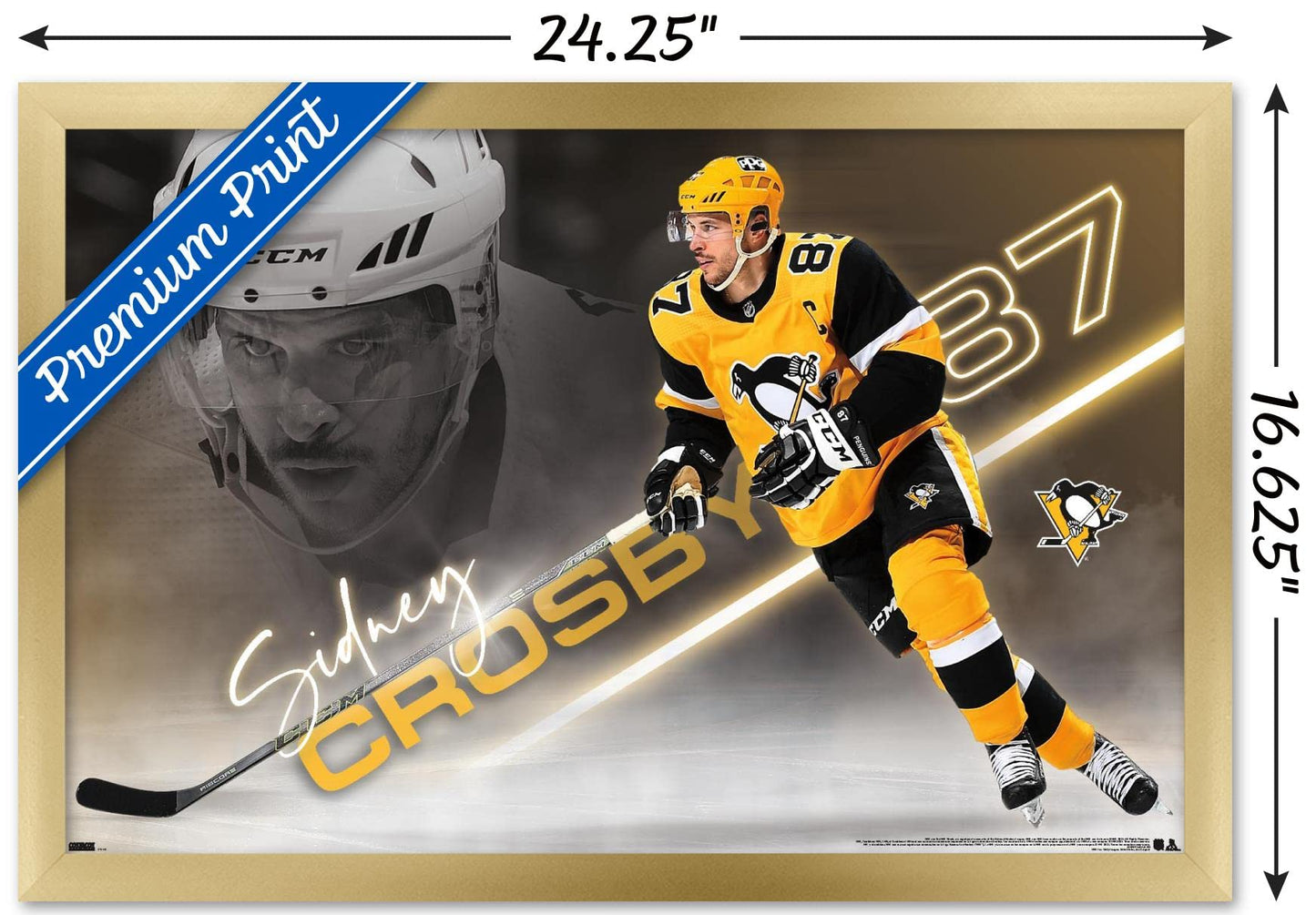 Trends International NHL Pittsburgh Penguins - Sidney Crosby 21 Wall Poster, 14.72" x 22.37", Gold Framed Version