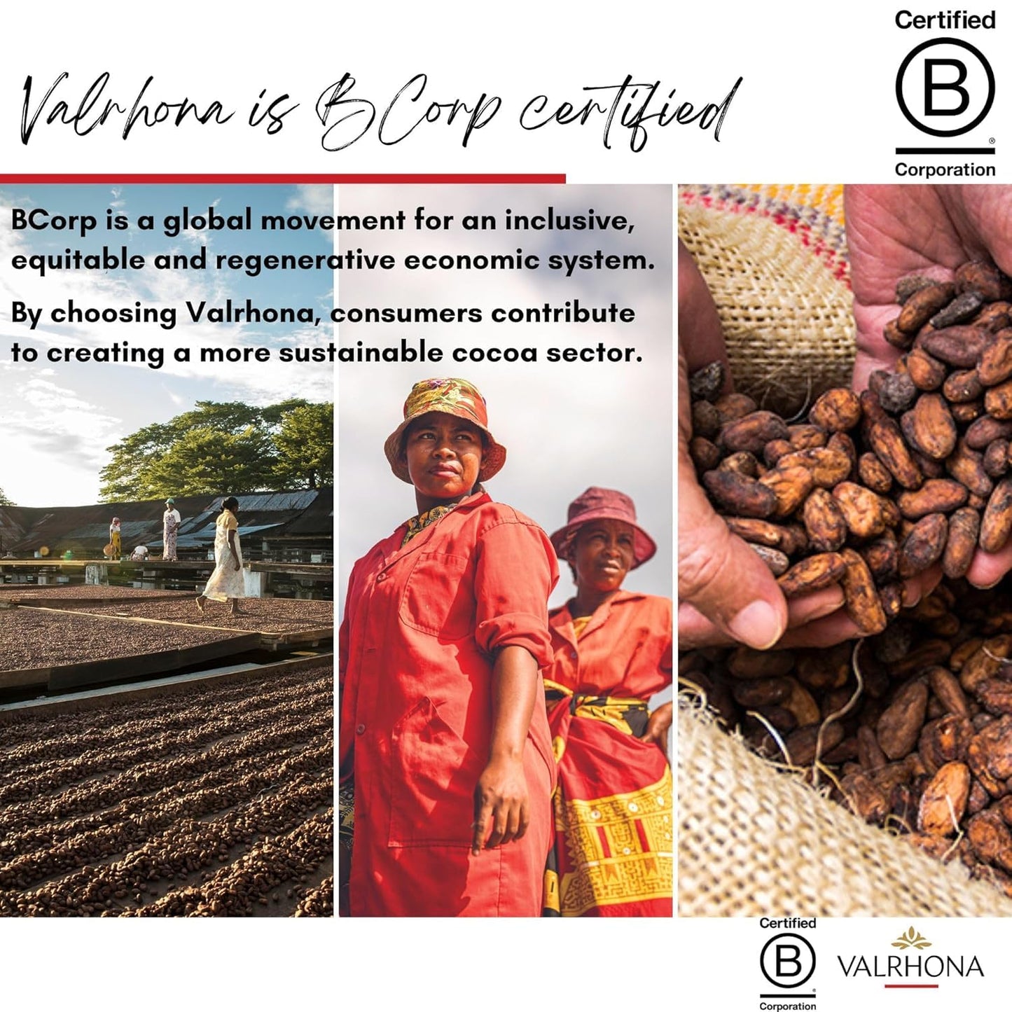 Valrhona Premium Baking Chocolate Discs (Feves), Dark Chocolate MANJARI 64% Cacao Single Origin, and Creamy Blonde Chocolate DULCEY 35% with Caramel Cookie Flavor Notes, for Cookies, Cakes, and more