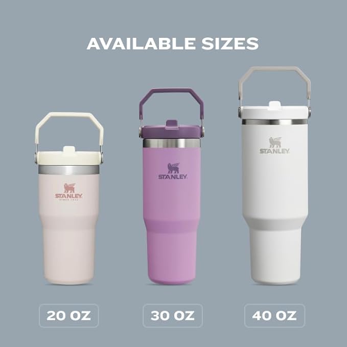 STANLEY IceFlow 2.0 Flip Straw Tumbler with Handle 20 oz | Twist On Lid and Flip Up Straw | Leakproof Water Bottle | Insulated Stainless Steel | BPA-Free | Chili Red