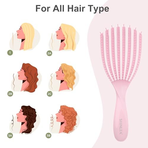 Detangler Brush for Curly Hair, Hairbrush for Wet Dry Thick Thin, Easily Comb Through Curl Hair and Reduces Breakage, Curly Brush for Women Men Kid (Pink)