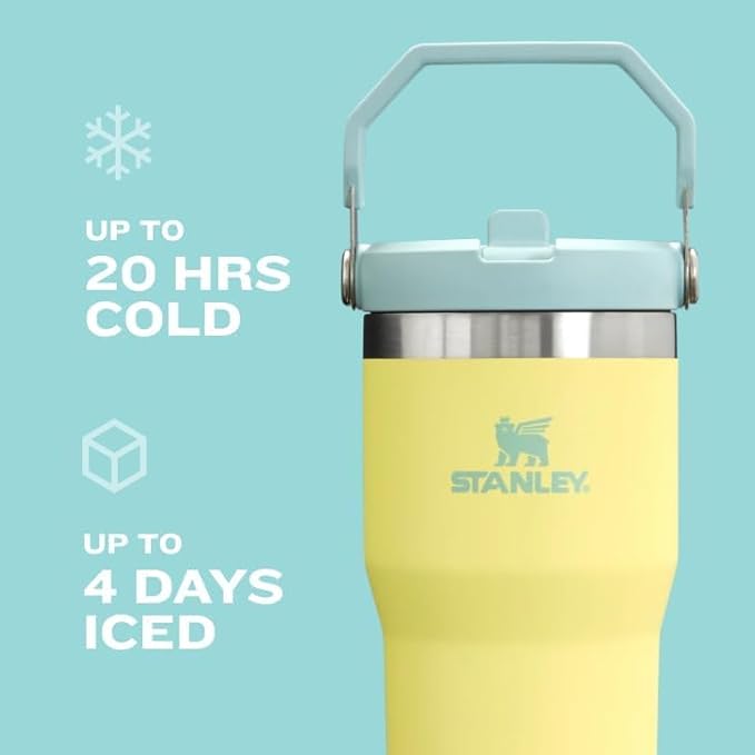 Stanley IceFlow 2.0 Flip Straw Tumbler with Handle 30 oz | Twist On Lid and Flip Up Straw | Leak Resistant Water Bottle | Insulated Stainless Steel | BPA-Free | Exclusive Sienna