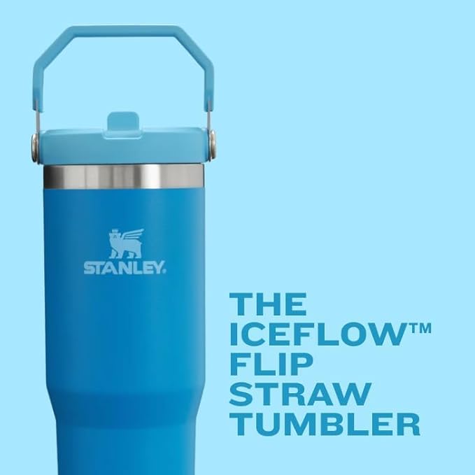 STANLEY IceFlow 2.0 Flip Straw Tumbler with Handle 30 oz | Twist On Lid and Flip Up Straw | Leak Resistant Water Bottle | Insulated Stainless Steel | BPA-Free | Cranberry