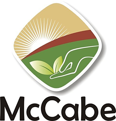 McCabe Organic Black Bean Tea - Roasted Black Beans Tea | USDA and CCOF Certified | Roasted and Packed in USA | 1.75 lbs (28 Oz) Pack of 3