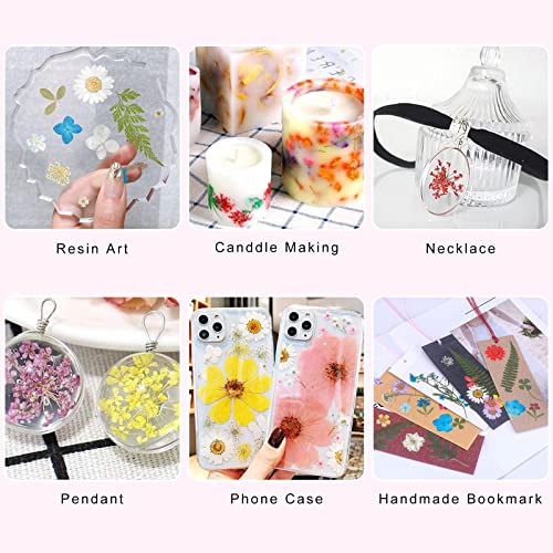 Dried Flowers for Resin Craft Nail Art Mix Small Mini Dry Flowers (Pack of 6 Boxes, About 260 PCS)