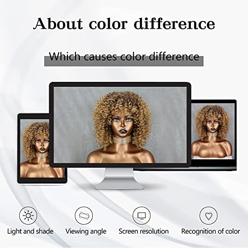 Xinran 14 inch Blonde Curly Wigs 70s, Kinky Brown Mixd Blonde Afro Wigs for Black Women, Synthetic Afro Curly Blonde Wigs for Women (Brown to Blonde)