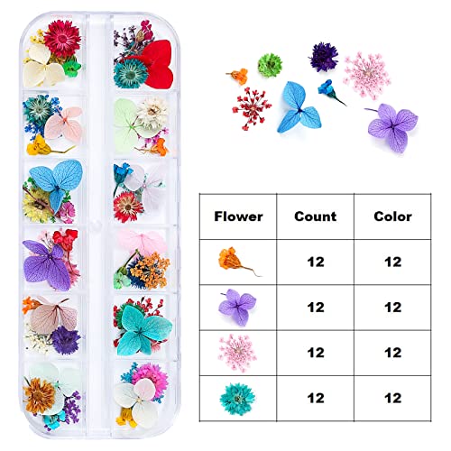 Dried Flowers for Resin Craft Nail Art Mix Small Mini Dry Flowers (Pack of 6 Boxes, About 260 PCS)