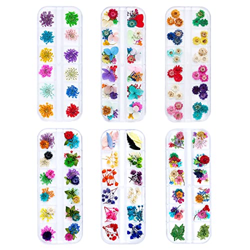 Dried Flowers for Resin Craft Nail Art Mix Small Mini Dry Flowers (Pack of 6 Boxes, About 260 PCS)
