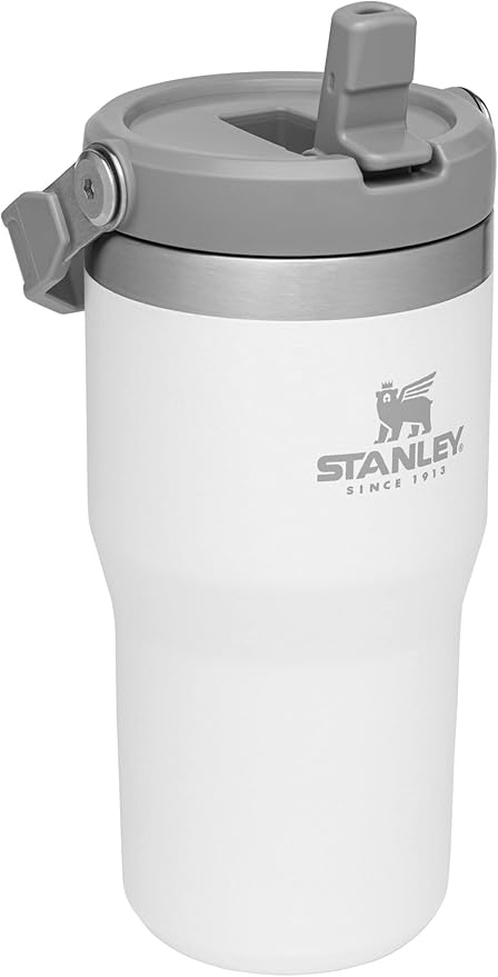 STANLEY IceFlow Flip Straw Tumbler with Handle 20 oz | Twist On Lid and Flip Up Straw | Leak Resistant Water Bottle | Insulated Stainless Steel |BPA-Free | Polar