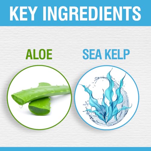 CHI HydrateCare Hydrating Conditioner, Balances Hair Moisture and Protects Against Damage and Hair Breakage, Sulfate, Paraben, & Cruelty-Free, 12 Oz