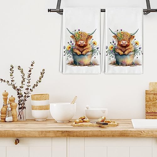Highland Cow Kitchen Dish Towel 18 x 28 Inch Rustic Farmhouse Dishcloth Seasonal Cute Cow Decorative Hand Tea Towel for Kitchen Home Cooking Baking Cleaning, 2Pcs