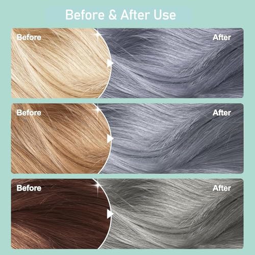 Silver Gray Hair Dye Shampoo, Instant Hair Color Shampoo, Silver Shampoo Hair Dye for Women Men, Lasting Shampoo Para Canas & Champu Para Canas, Shampoo Para Pintar el Cabello