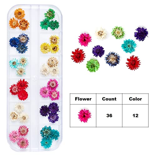 Dried Flowers for Resin Craft Nail Art Mix Small Mini Dry Flowers (Pack of 6 Boxes, About 260 PCS)