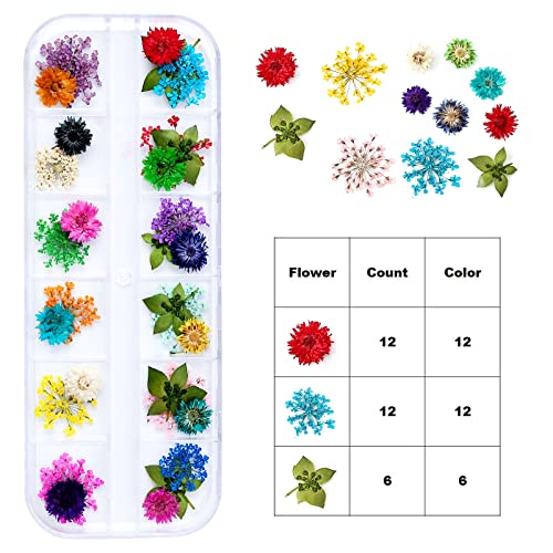 Dried Flowers for Resin Craft Nail Art Mix Small Mini Dry Flowers (Pack of 6 Boxes, About 260 PCS)