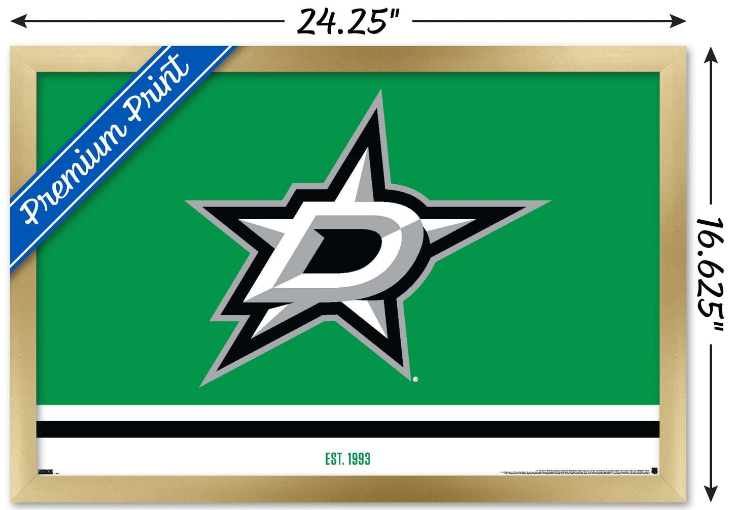 Trends International NHL Dallas Stars - Logo 21 Wall Poster, 14.725" x 22.375", Gold Framed Version
