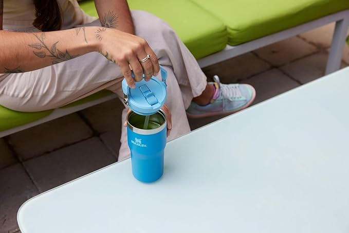 STANLEY IceFlow 2.0 Flip Straw Tumbler with Handle 20 oz | Twist On Lid and Flip Up Straw | Leak Resistant Water Bottle | Insulated Stainless Steel | BPA-Free | Twilight