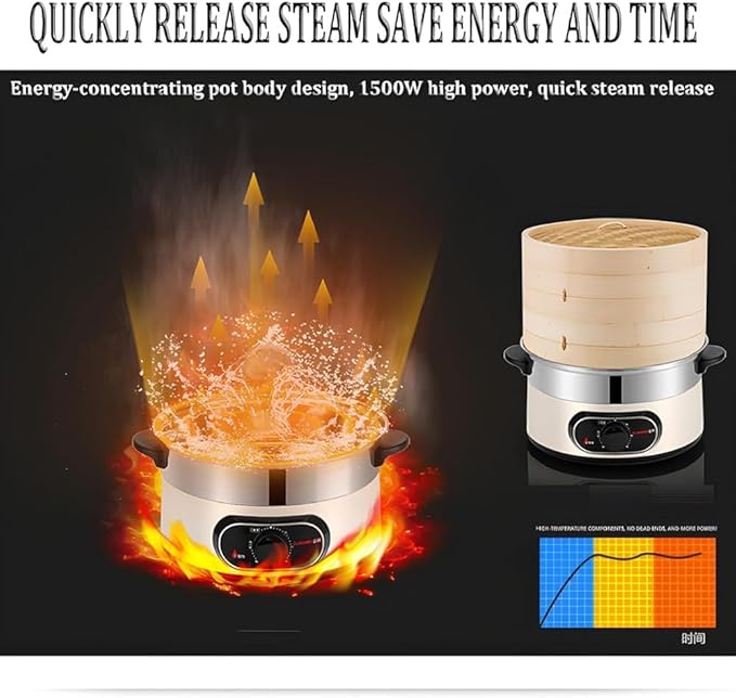 Electric Food Steamer, 2-Tier Bamboo Steamer, 60 Min Timer, Auto Shut-Off, Boil Dry Protection, 1500W