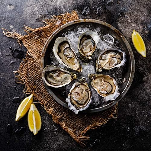 Rockland Guard Oyster Shucking Knife - Oyster Knife Shucker for Opening Clams, Scallops, Shellfish - Stainless Steel Blade, Non-Slip Ergonomic Handle - Kitchen Tool for Chefs, Cooks - Set of 2 Knives
