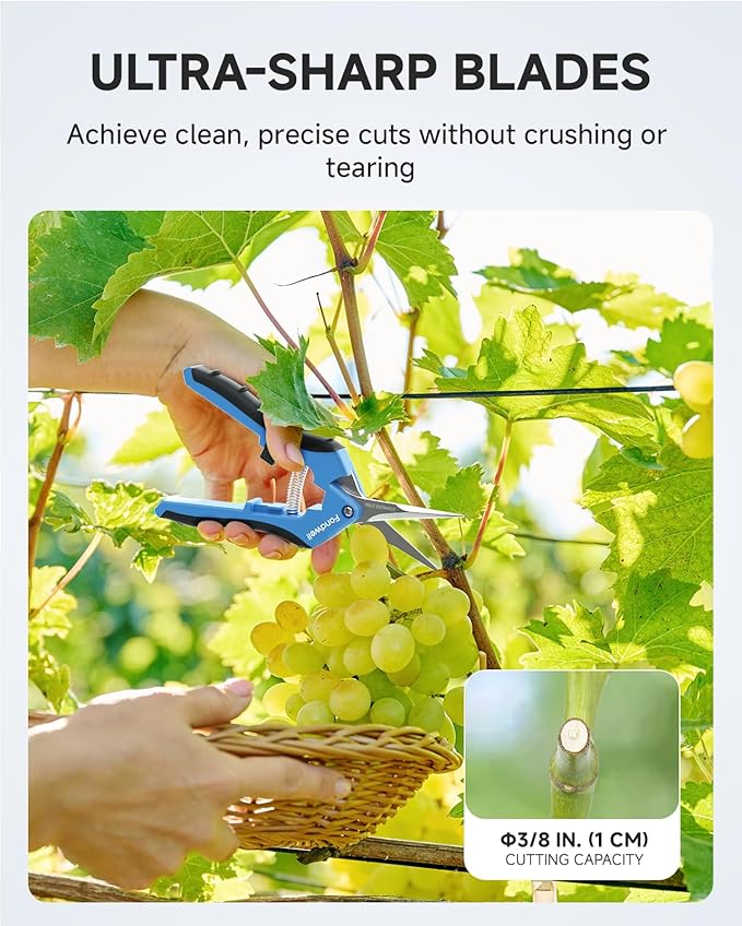 Fondwell 6.5" Pruning Shears Trimming Scissors: 2 Pack of Small Garden Snips with Micro Tip - Plant Clippers of High Cutting Efficiency