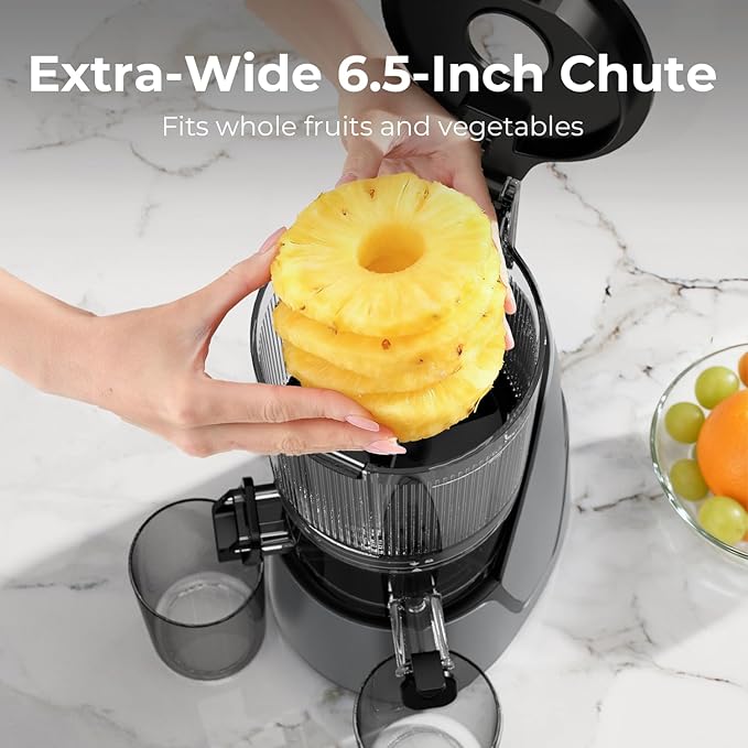 EanOruus Juicer Machines, 3-in-1 Cold Press Juicer with 6.5" Extra Large Chute, 100oz Large Capacity, AC Motor, Makes Juice, Nut Milk & Sorbet, Premium Gray