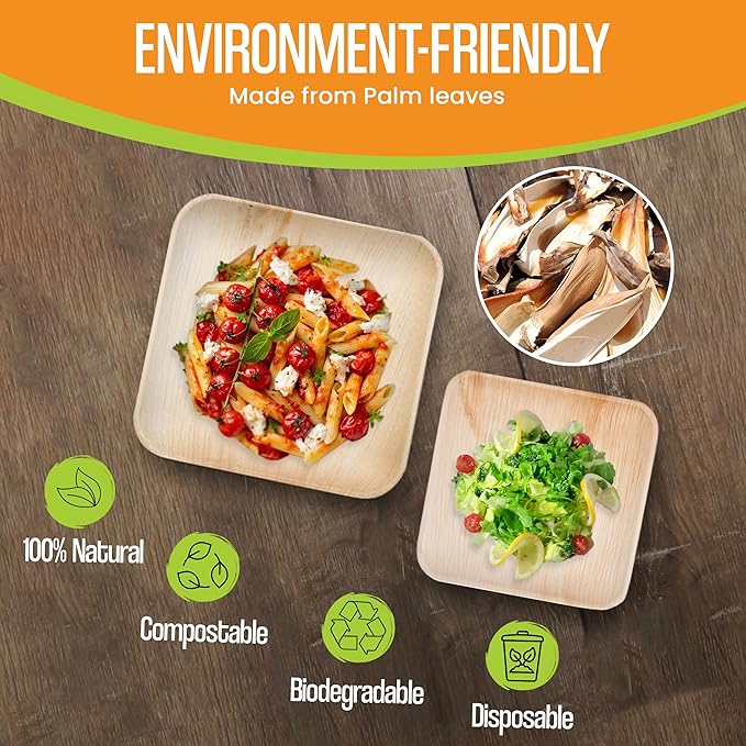 Raj Palm Leaf Plates Disposable Bamboo Plates 10 Inch & 7 Inch Square Bulk Party Pack (50 Pc) Compostable and Biodegradable - Better than Plastic & Paper Plate for Lunch, Birthday, Camping