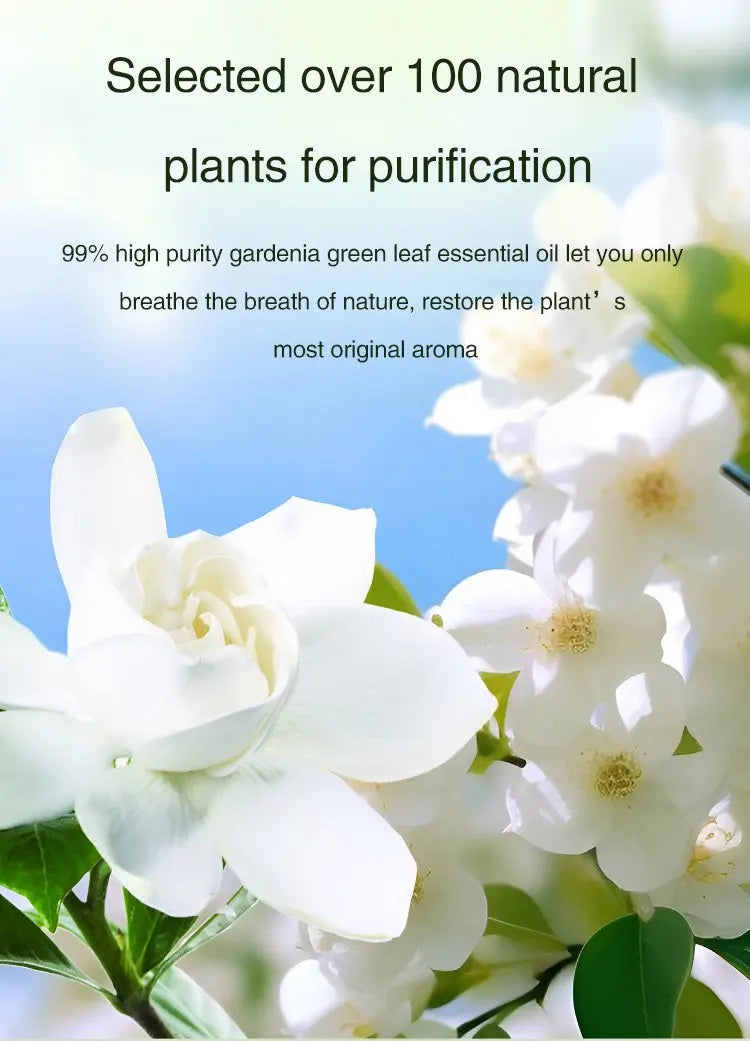 50ML Automatic Home Fragrance Machine Essential Oil Diffuser Nebulizer Perfume Scent Machine for Kitchen and toilet deodorizatio